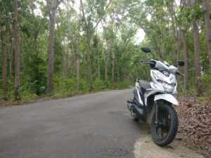 Cheap motorbike in Siquijor