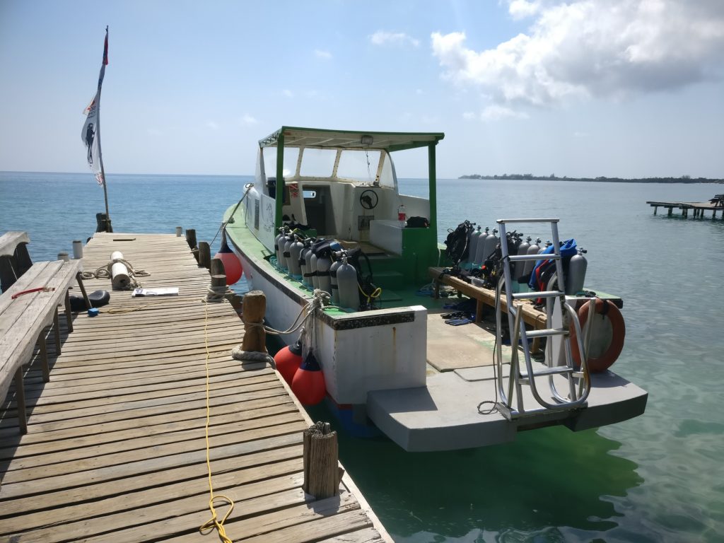 Diving schools in Utila