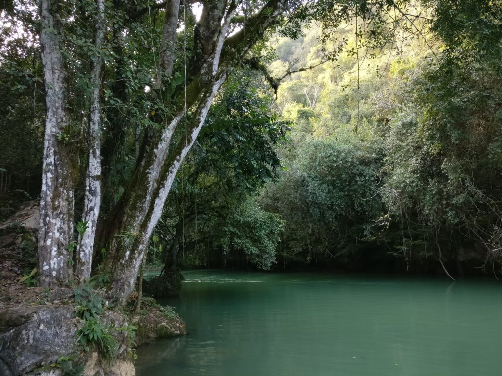 Lanquin caves entrance fee