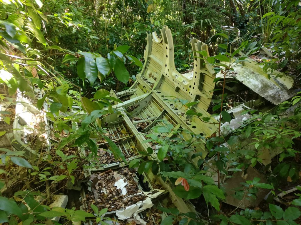 Abandoned airplane in the jungle